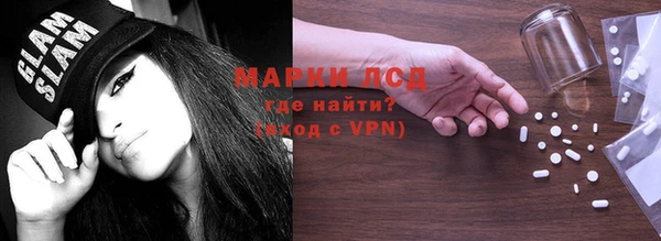индика Надым