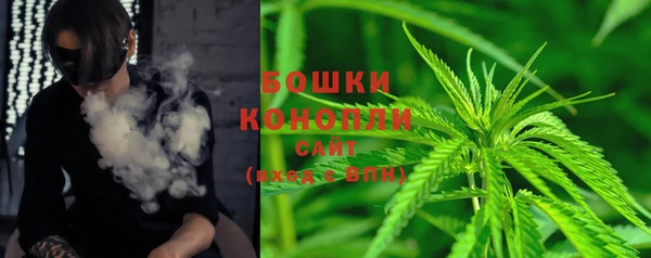 индика Надым