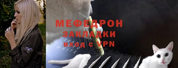 индика Надым