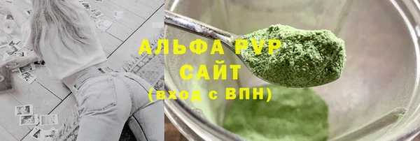 индика Надым