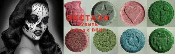 индика Надым