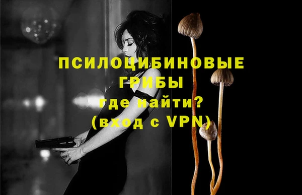 индика Надым