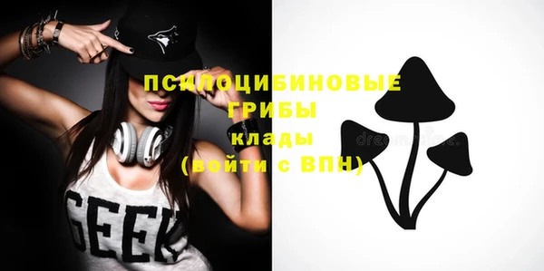 гидра Наволоки