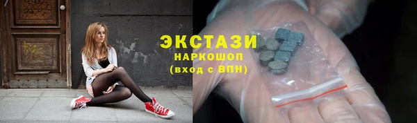 индика Надым