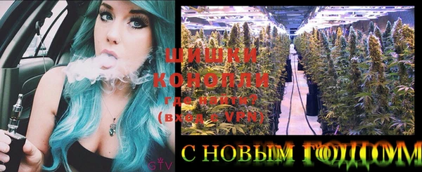 ешки Михайлов