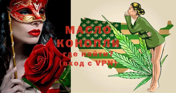 индика Надым