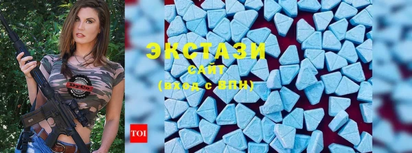 индика Надым