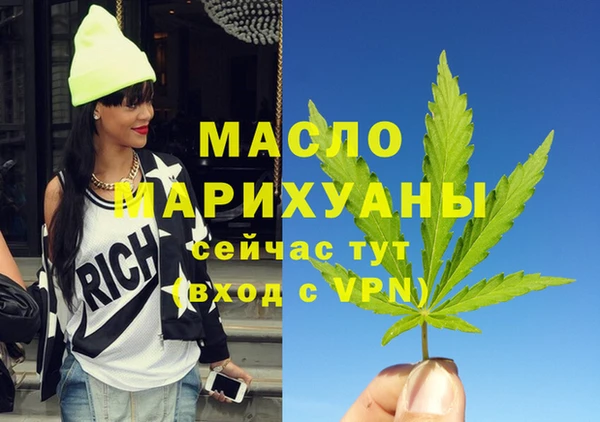 индика Надым