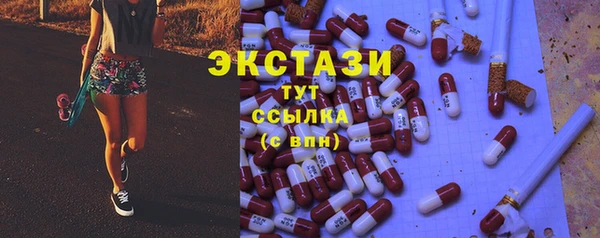 индика Надым