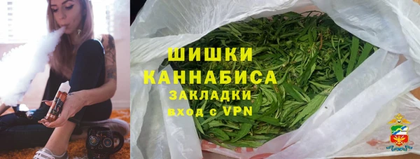 индика Надым