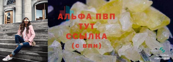 ГАЛЛЮЦИНОГЕННЫЕ ГРИБЫ Анива